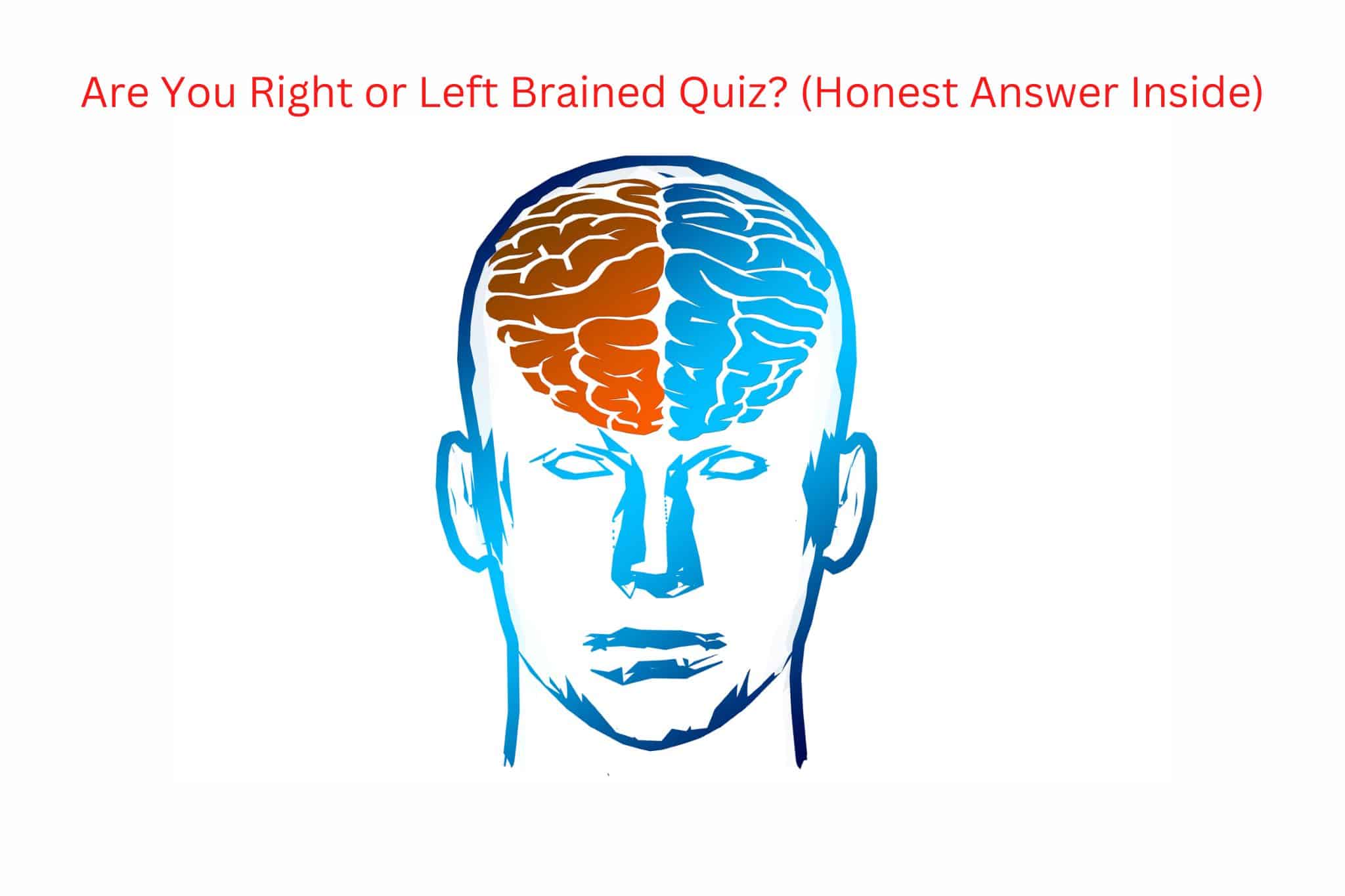 Are You Right or Left Brained Quiz