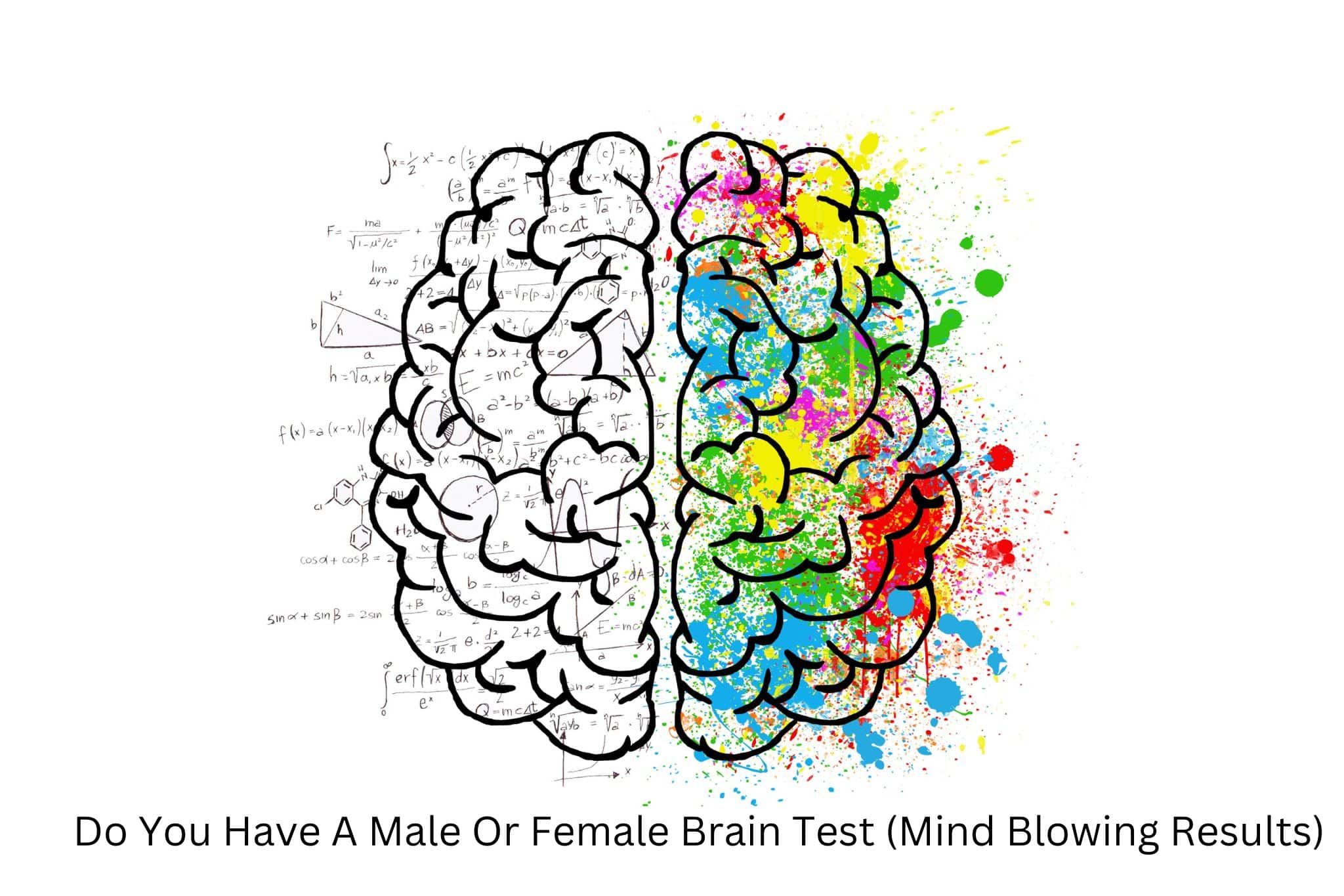 Do You Have A Male Or Female Brain Test